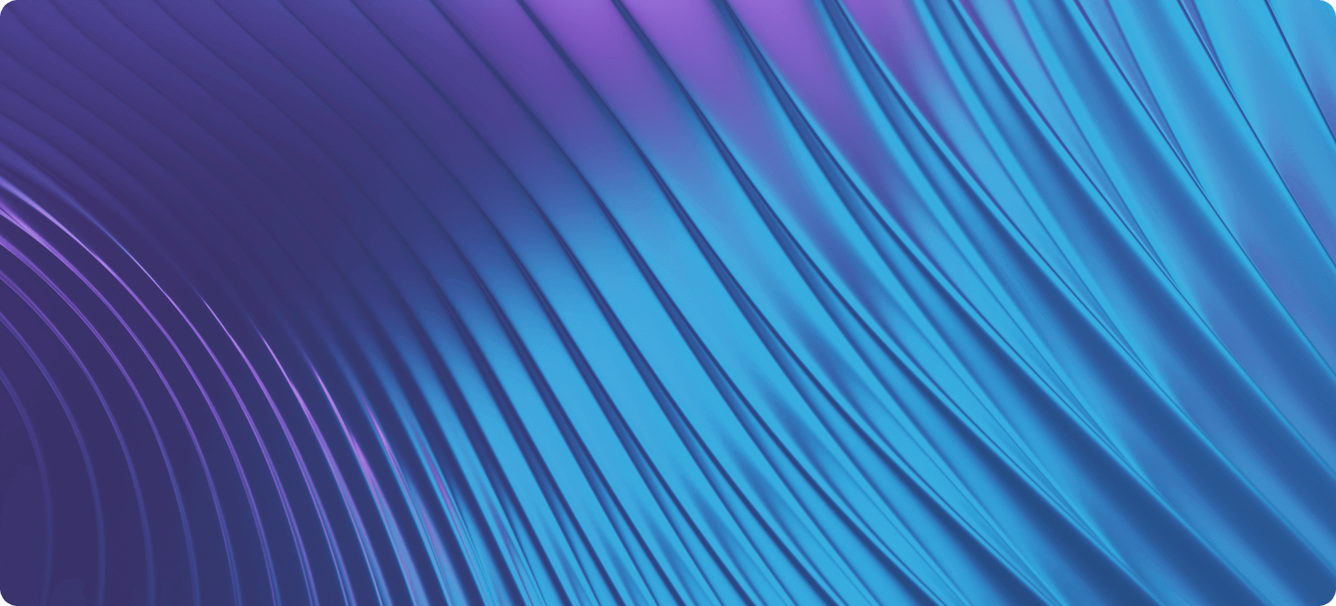Web Design and Website Development Company